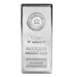 100 oz silver bars