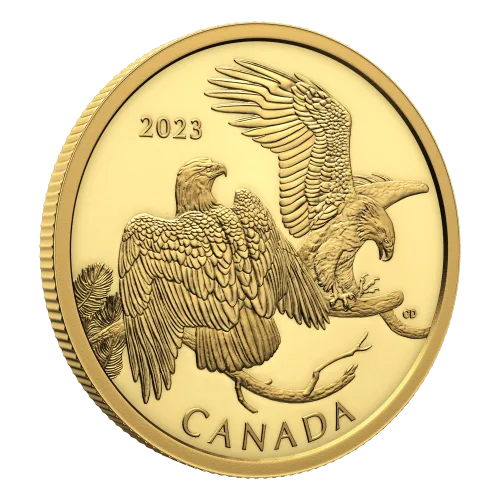 1 oz 2023 Striking Bald Eagle Gold Coin featuring two eagles on a pine bough
